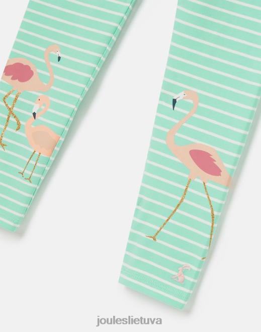 Aqua stripe flamingo deedee margintos antblauzdžiai 2-12 metų mergaites drabužiai Joules N8VVH266